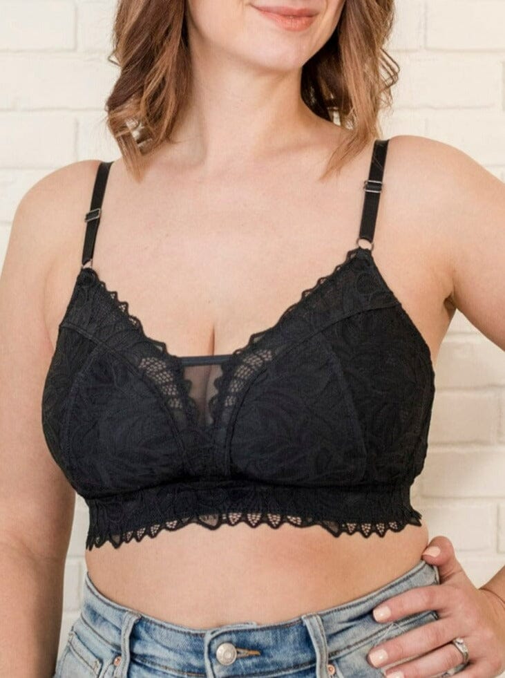 Gorgeous Dd+ 2 Pack Scallop Lace T-shirt Bra in Black